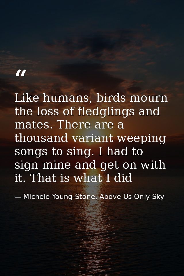 Like humans, birds mourn the loss of fledglings and mates. There are a thousand variant weeping songs to sing. I had to  — Michele Young-Stone, Above Us Only Sky