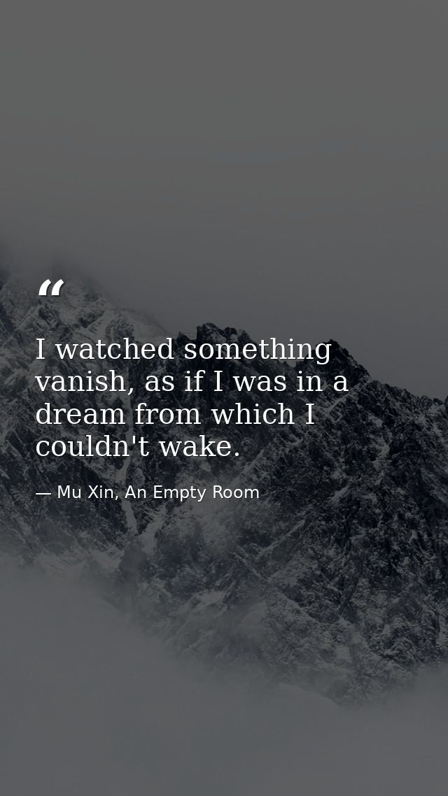 I watched something vanish, as if I was in a dream from which I couldn't wake. — Mu Xin, An Empty Room