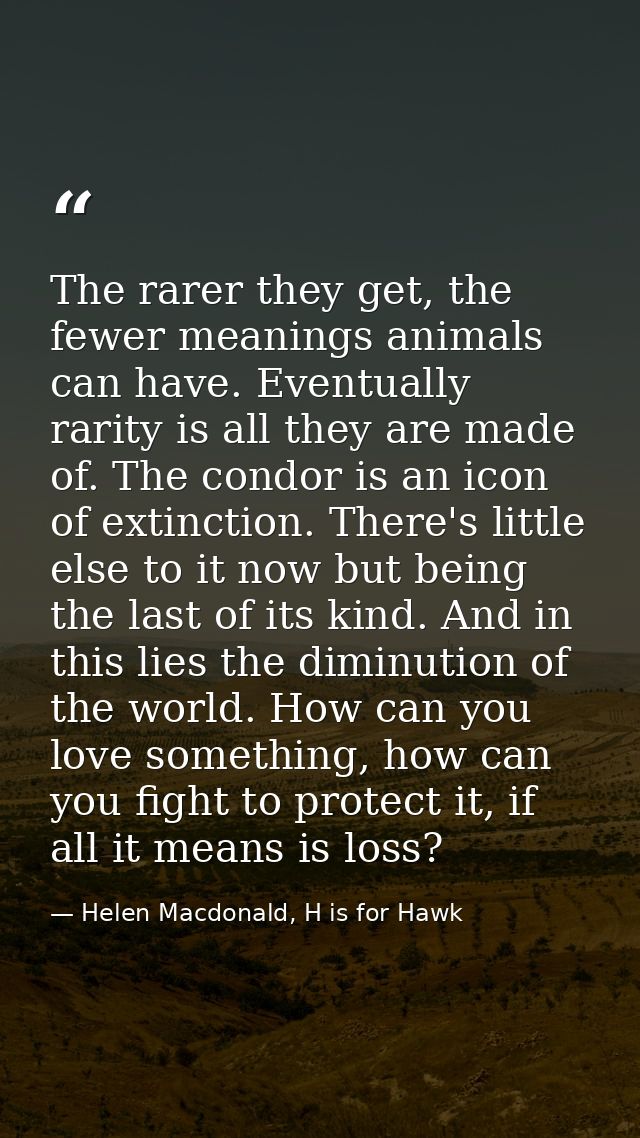 The rarer they get, the fewer meanings animals can have. Eventually rarity is all they are made of. The condor is an ico — Helen Macdonald, H is for Hawk