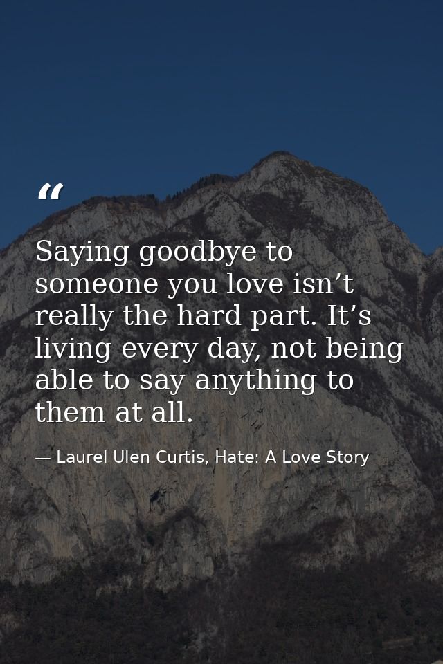 Saying goodbye to someone you love isn’t really the hard part. It’s living every day, not being able to say anything to  — Laurel Ulen Curtis, Hate: A Love Story