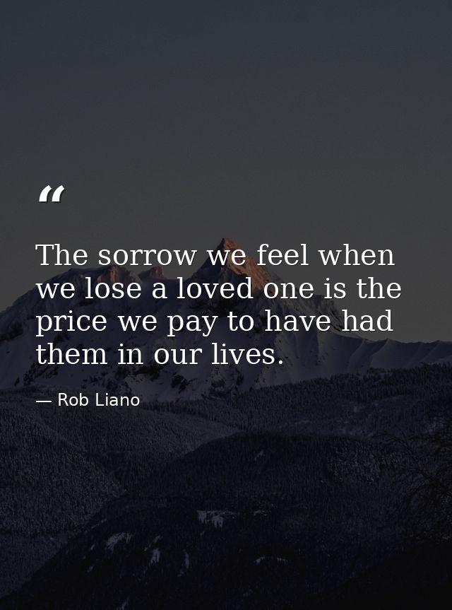 The sorrow we feel when we lose a loved one is the price we pay to have had them in our lives. — Rob Liano