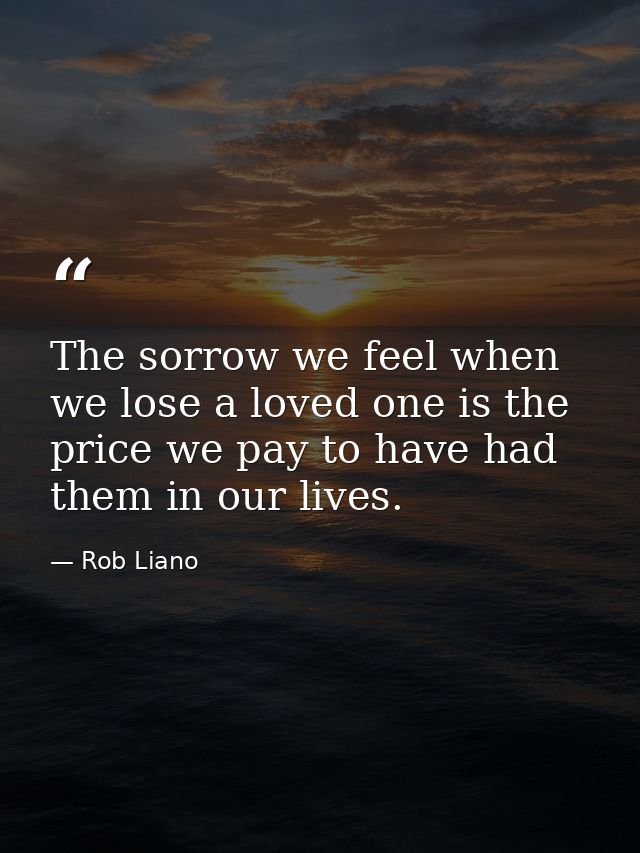 The sorrow we feel when we lose a loved one is the price we pay to have had them in our lives. — Rob Liano