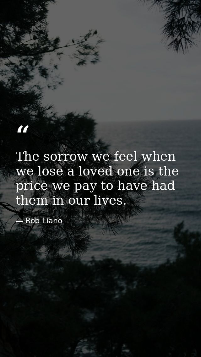 The sorrow we feel when we lose a loved one is the price we pay to have had them in our lives. — Rob Liano