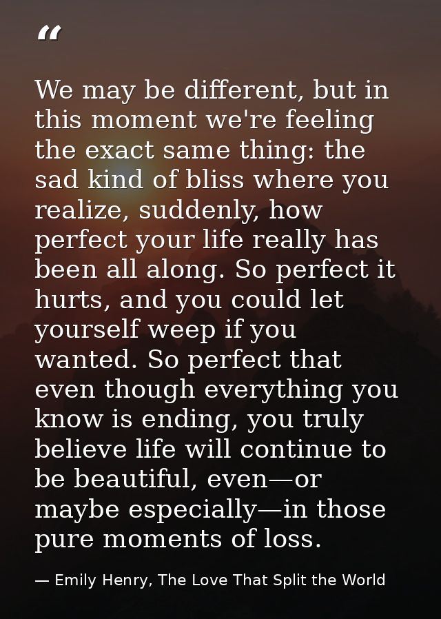 We may be different, but in this moment we're feeling the exact same thing: the sad kind of bliss where you realize, sud — Emily Henry, The Love That Split the World
