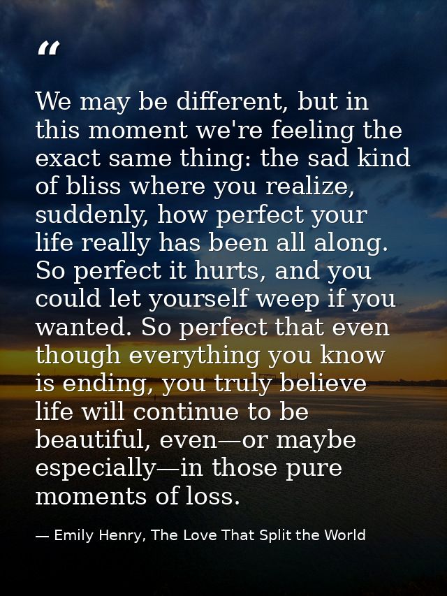 We may be different, but in this moment we're feeling the exact same thing: the sad kind of bliss where you realize, sud — Emily Henry, The Love That Split the World
