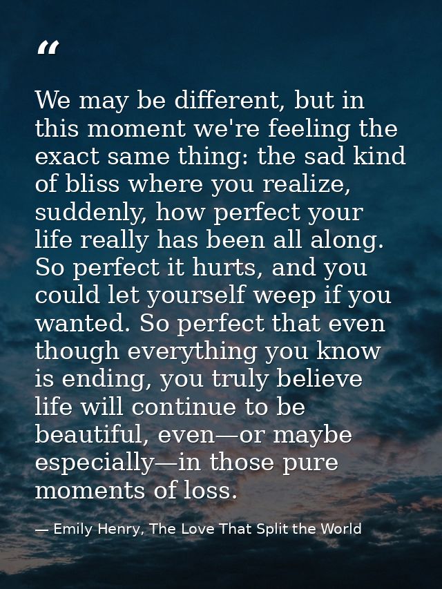 We may be different, but in this moment we're feeling the exact same thing: the sad kind of bliss where you realize, sud — Emily Henry, The Love That Split the World