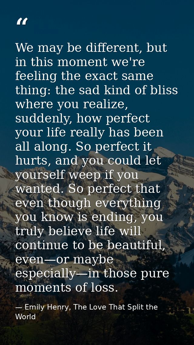 We may be different, but in this moment we're feeling the exact same thing: the sad kind of bliss where you realize, sud — Emily Henry, The Love That Split the World