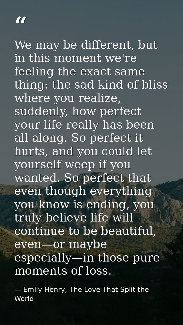 We may be different, but in this moment we're feeling the exact same thing: the sad kind of bliss where you realize, sud — Emily Henry, The Love That Split the World
