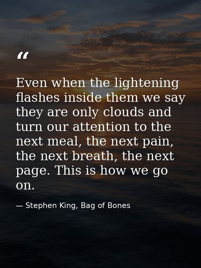 Even when the lightening flashes inside them we say they are only clouds and turn our attention to the next meal, the ne — Stephen King, Bag of Bones
