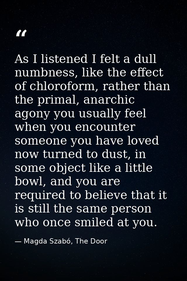 As I listened I felt a dull numbness, like the effect of chloroform, rather than the primal, anarchic agony you usually  — Magda Szabó, The Door