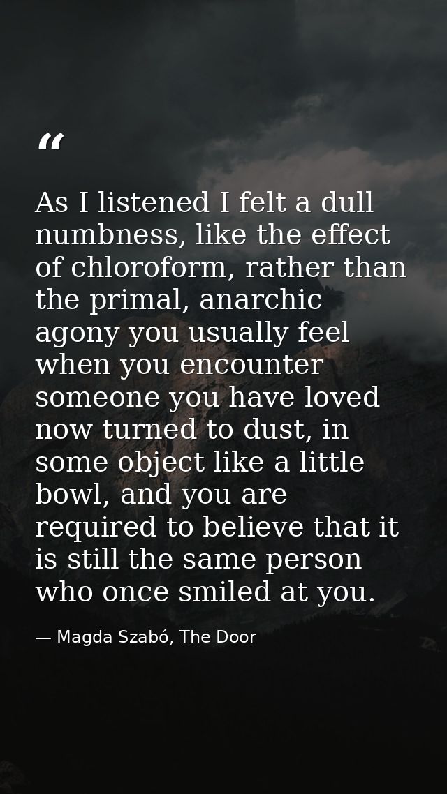 As I listened I felt a dull numbness, like the effect of chloroform, rather than the primal, anarchic agony you usually  — Magda Szabó, The Door