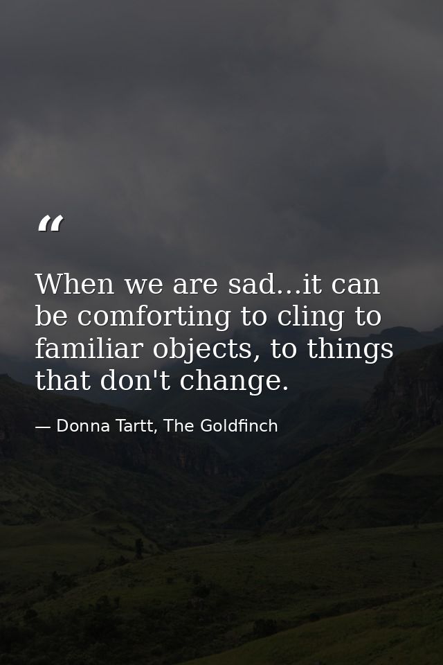 When we are sad...it can be comforting to cling to familiar objects, to things that don't change. — Donna Tartt, The Goldfinch