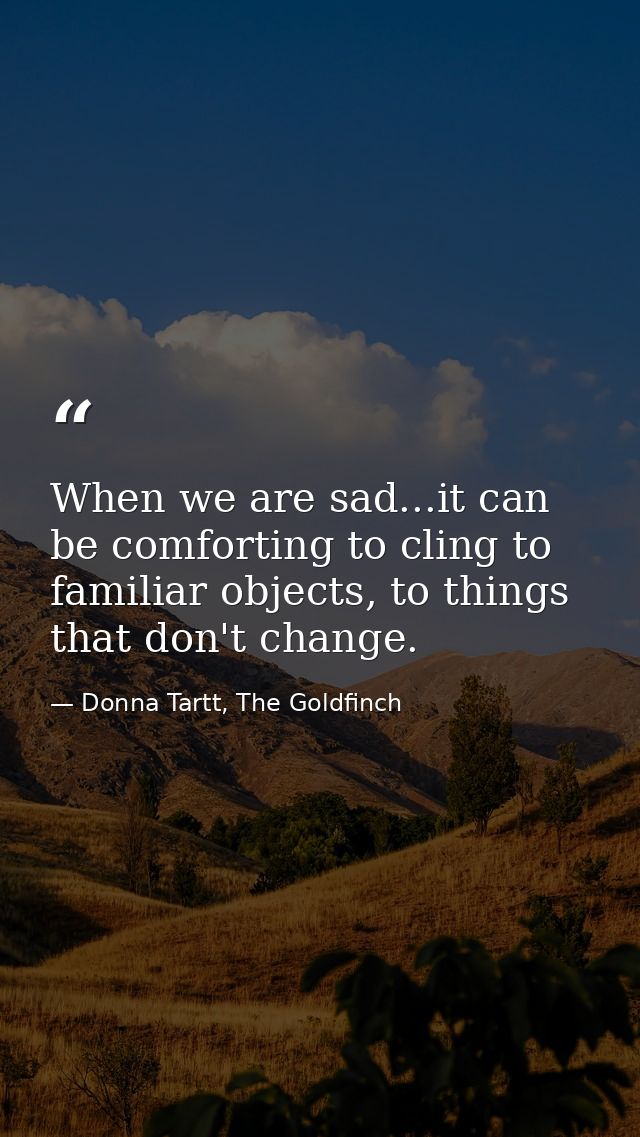 When we are sad...it can be comforting to cling to familiar objects, to things that don't change. — Donna Tartt, The Goldfinch