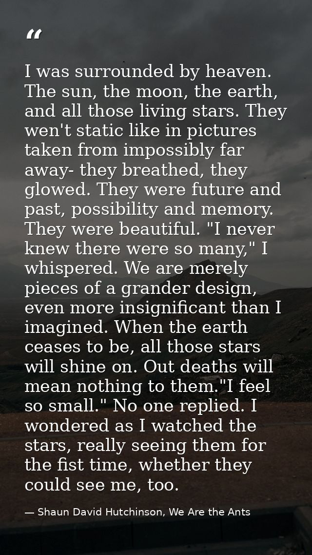 I was surrounded by heaven. The sun, the moon, the earth, and all those living stars. They wen't static like in pictures — Shaun David Hutchinson, We Are the Ants