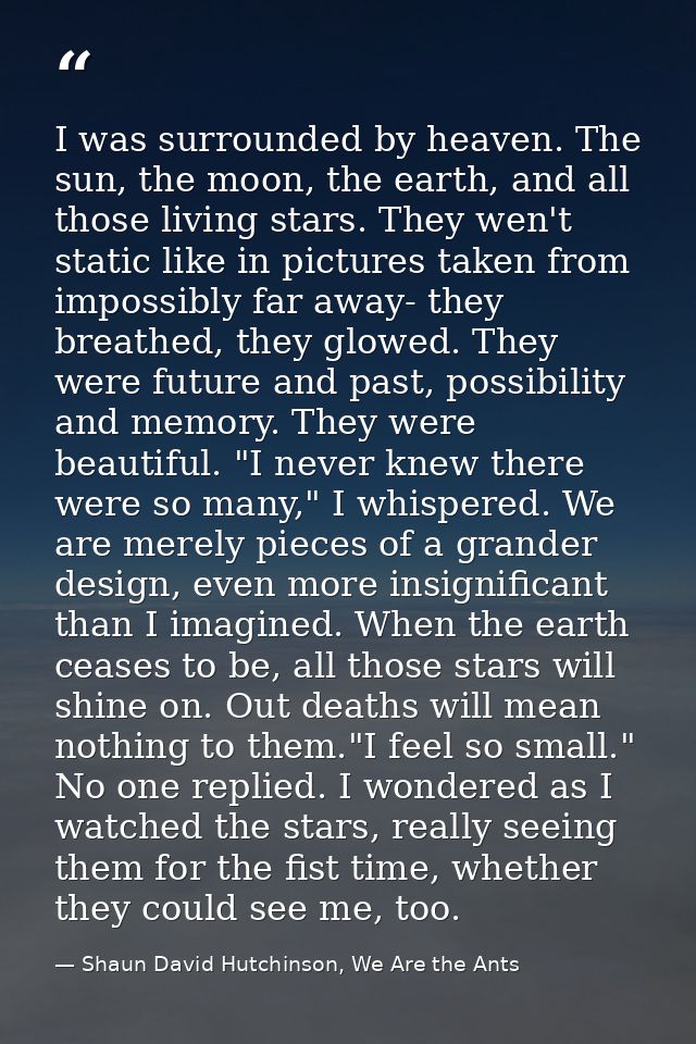 I was surrounded by heaven. The sun, the moon, the earth, and all those living stars. They wen't static like in pictures — Shaun David Hutchinson, We Are the Ants