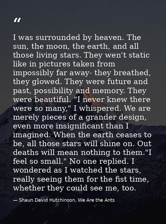 I was surrounded by heaven. The sun, the moon, the earth, and all those living stars. They wen't static like in pictures — Shaun David Hutchinson, We Are the Ants