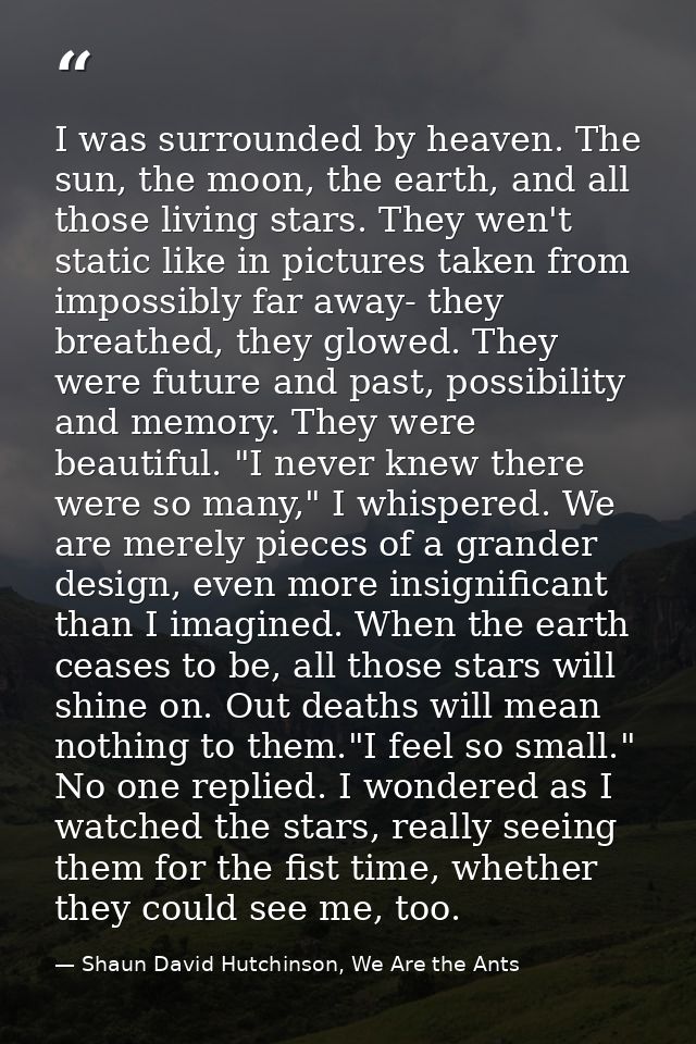 I was surrounded by heaven. The sun, the moon, the earth, and all those living stars. They wen't static like in pictures — Shaun David Hutchinson, We Are the Ants