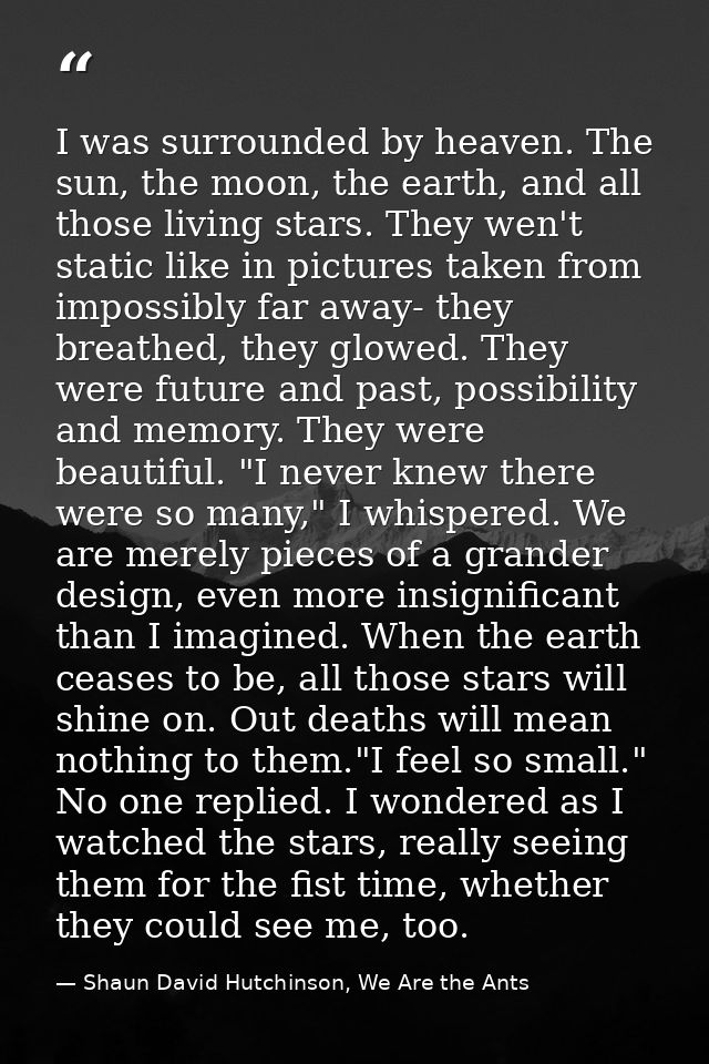 I was surrounded by heaven. The sun, the moon, the earth, and all those living stars. They wen't static like in pictures — Shaun David Hutchinson, We Are the Ants