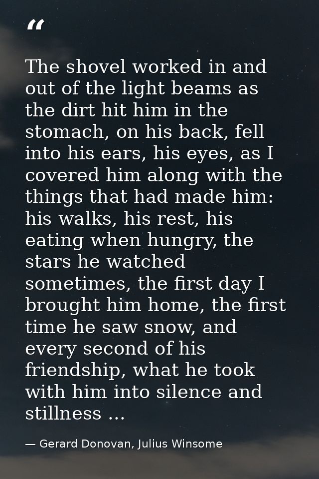 The shovel worked in and out of the light beams as the dirt hit him in the stomach, on his back, fell into his ears, his — Gerard Donovan, Julius Winsome
