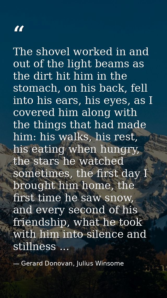 The shovel worked in and out of the light beams as the dirt hit him in the stomach, on his back, fell into his ears, his — Gerard Donovan, Julius Winsome