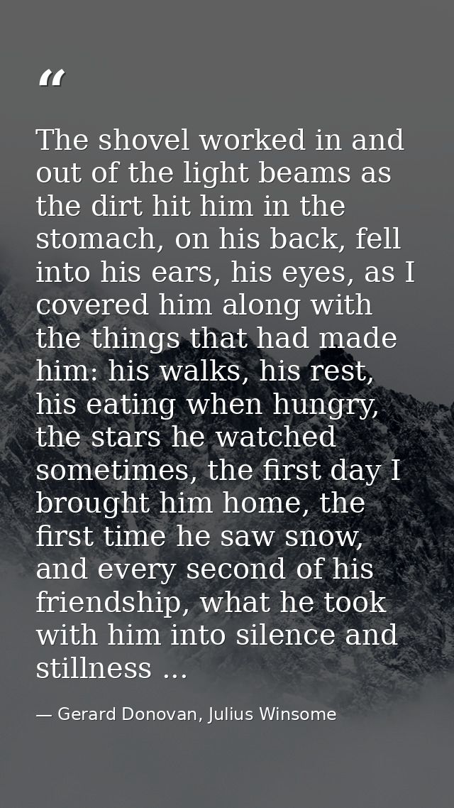 The shovel worked in and out of the light beams as the dirt hit him in the stomach, on his back, fell into his ears, his — Gerard Donovan, Julius Winsome