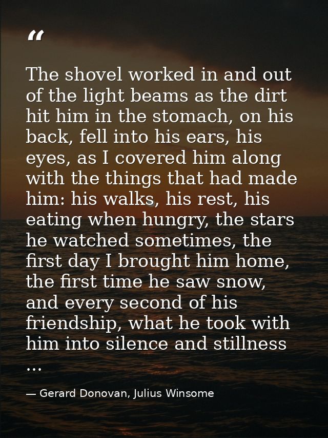 The shovel worked in and out of the light beams as the dirt hit him in the stomach, on his back, fell into his ears, his — Gerard Donovan, Julius Winsome