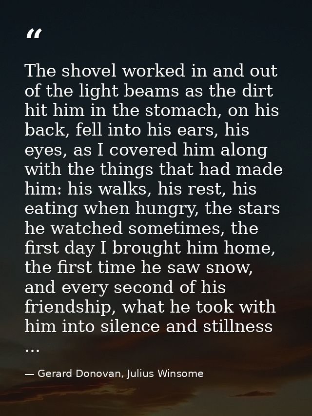 The shovel worked in and out of the light beams as the dirt hit him in the stomach, on his back, fell into his ears, his — Gerard Donovan, Julius Winsome