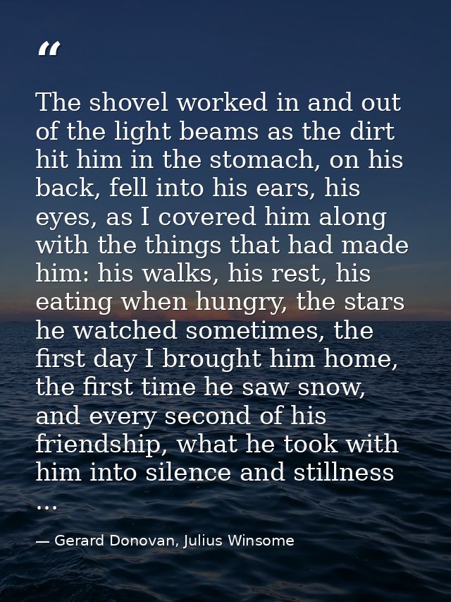 The shovel worked in and out of the light beams as the dirt hit him in the stomach, on his back, fell into his ears, his — Gerard Donovan, Julius Winsome