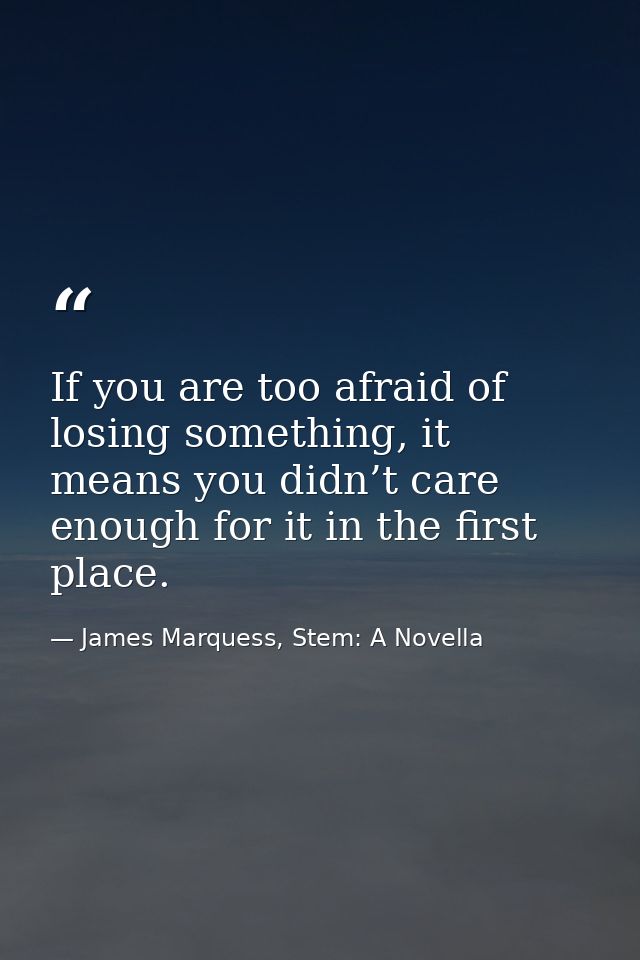 If you are too afraid of losing something, it means you didn’t care enough for it in the first place. — James Marquess, Stem: A Novella