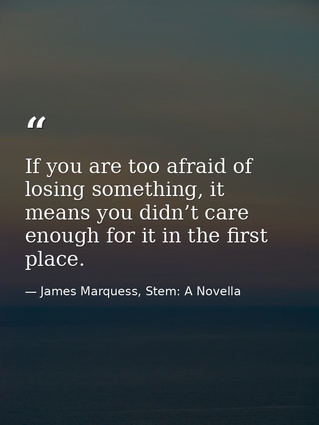 If you are too afraid of losing something, it means you didn’t care enough for it in the first place. — James Marquess, Stem: A Novella