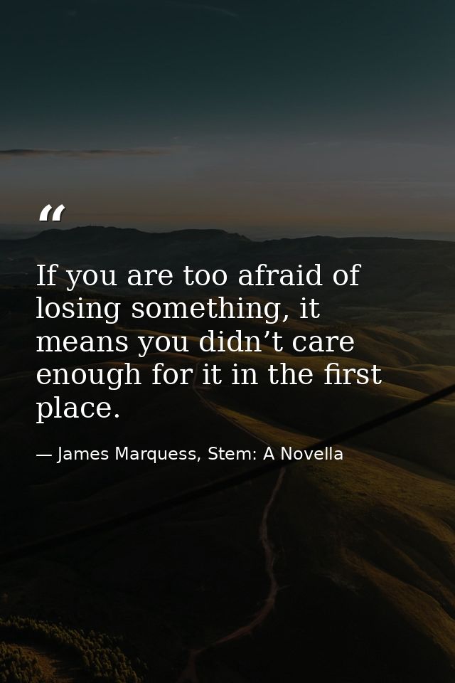 If you are too afraid of losing something, it means you didn’t care enough for it in the first place. — James Marquess, Stem: A Novella