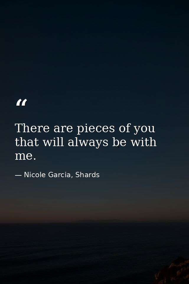There are pieces of you that will always be with me. — Nicole Garcia, Shards