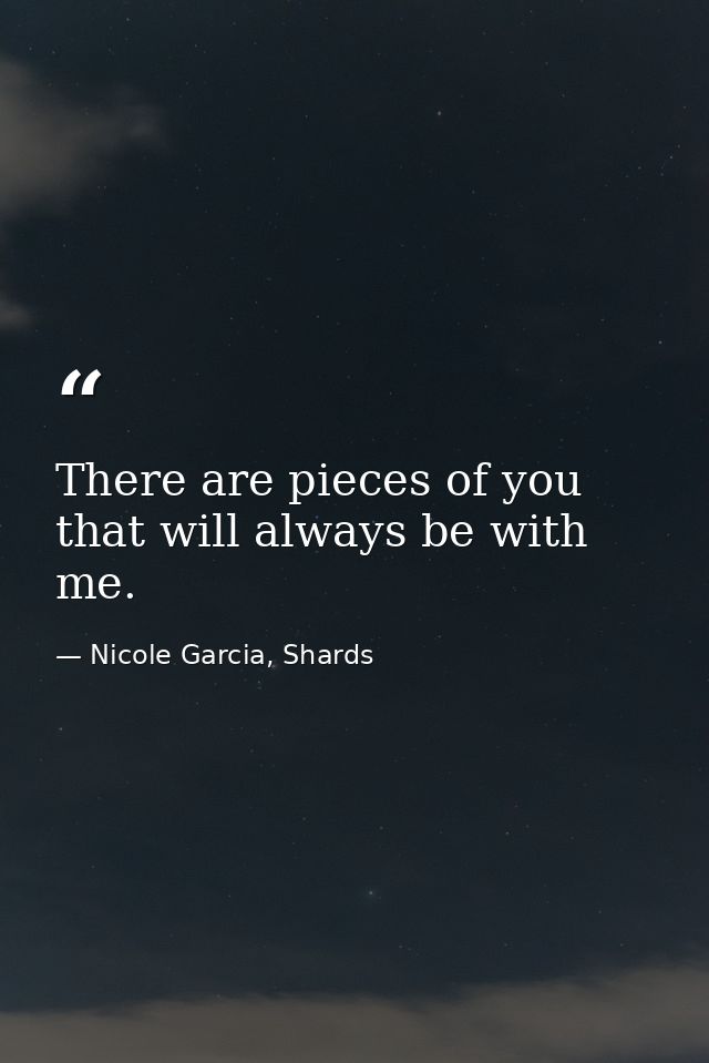 There are pieces of you that will always be with me. — Nicole Garcia, Shards