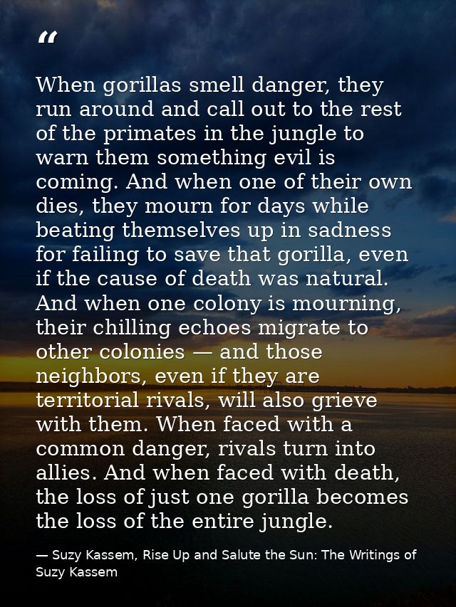 When gorillas smell danger, they run around and call out to the rest of the primates in the jungle to warn them somethin — Suzy Kassem, Rise Up and Salute the Sun: The Writings of Suzy Kassem