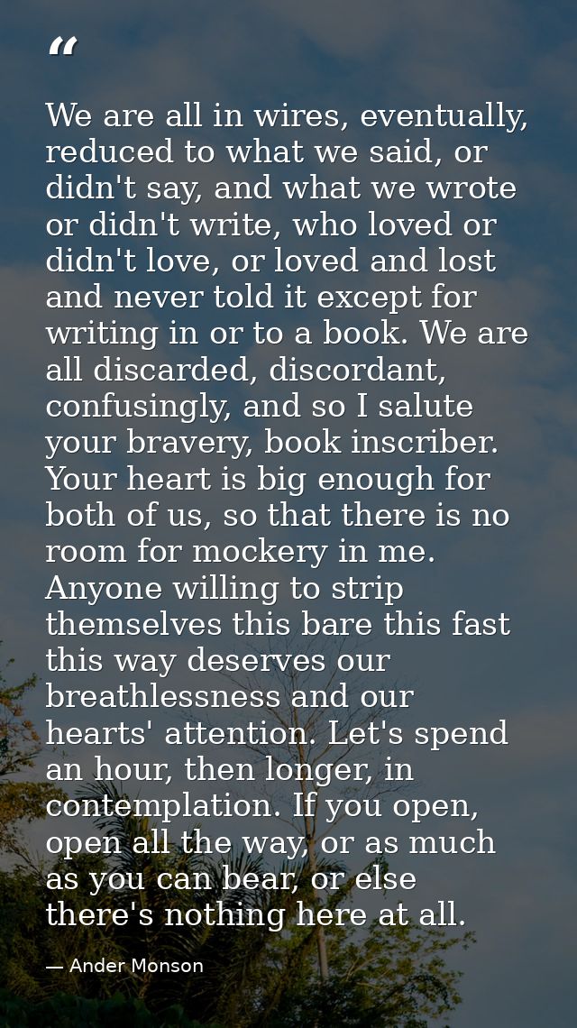 We are all in wires, eventually, reduced to what we said, or didn't say, and what we wrote or didn't write, who loved or — Ander Monson