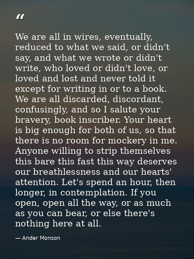 We are all in wires, eventually, reduced to what we said, or didn't say, and what we wrote or didn't write, who loved or — Ander Monson