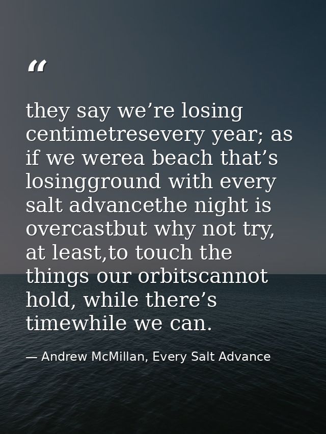 they say we’re losing centimetresevery year; as if we werea beach that’s losingground with every salt advancethe night i — Andrew McMillan, Every Salt Advance