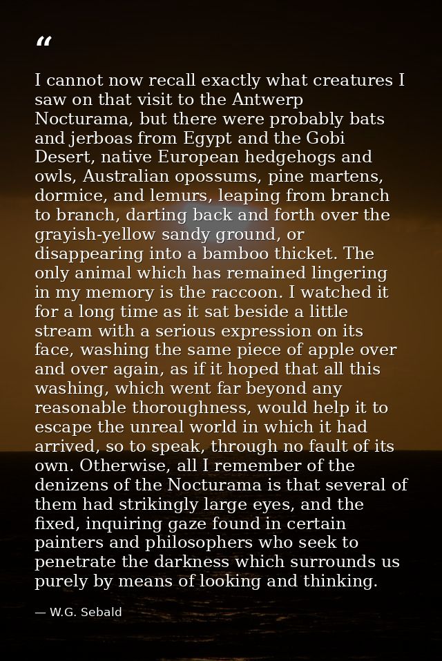 I cannot now recall exactly what creatures I saw on that visit to the Antwerp Nocturama, but there were probably bats an — W.G. Sebald