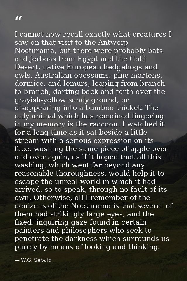 I cannot now recall exactly what creatures I saw on that visit to the Antwerp Nocturama, but there were probably bats an — W.G. Sebald