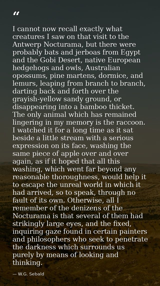 I cannot now recall exactly what creatures I saw on that visit to the Antwerp Nocturama, but there were probably bats an — W.G. Sebald