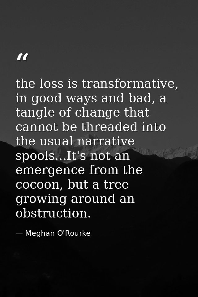 the loss is transformative, in good ways and bad, a tangle of change that cannot be threaded into the usual narrative sp — Meghan O'Rourke