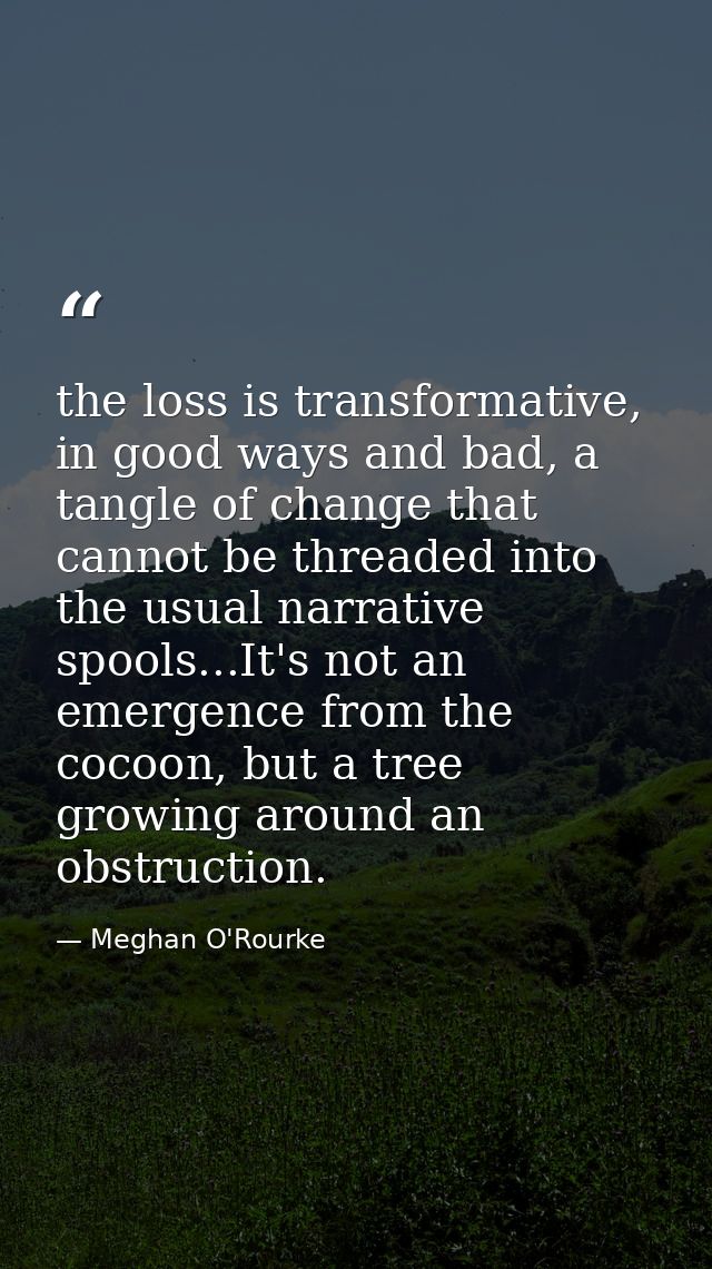 the loss is transformative, in good ways and bad, a tangle of change that cannot be threaded into the usual narrative sp — Meghan O'Rourke
