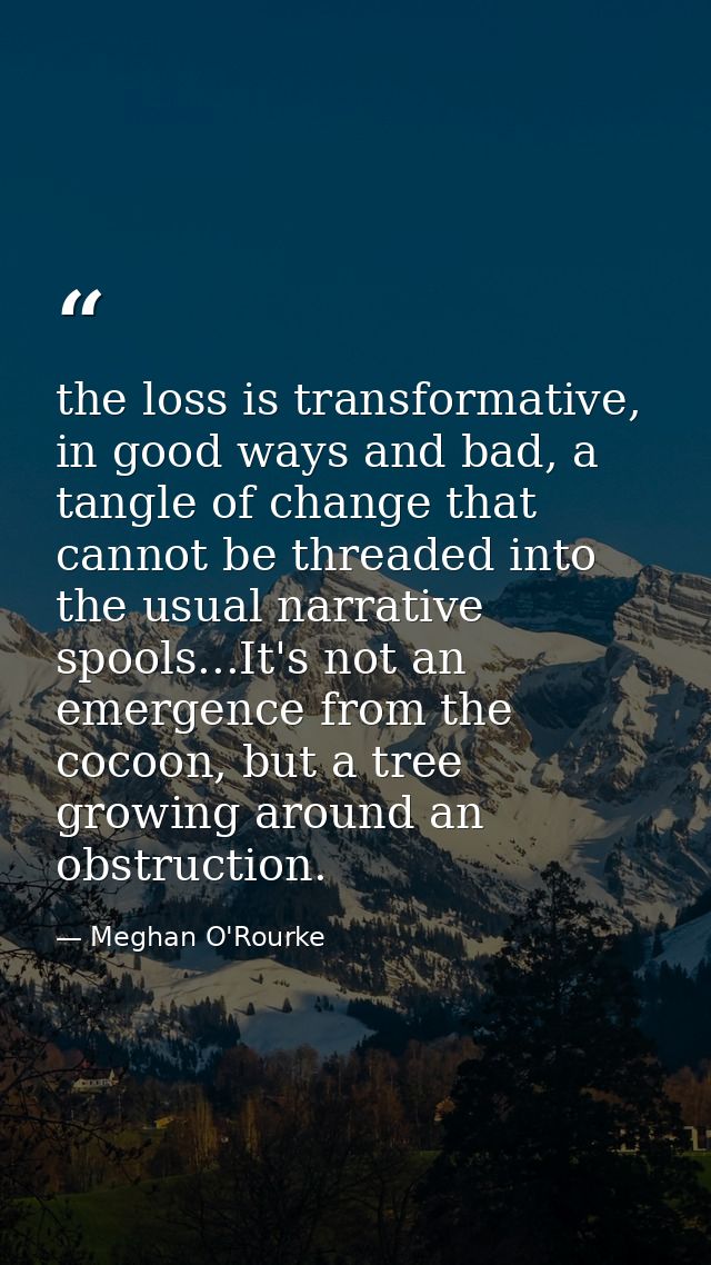 the loss is transformative, in good ways and bad, a tangle of change that cannot be threaded into the usual narrative sp — Meghan O'Rourke