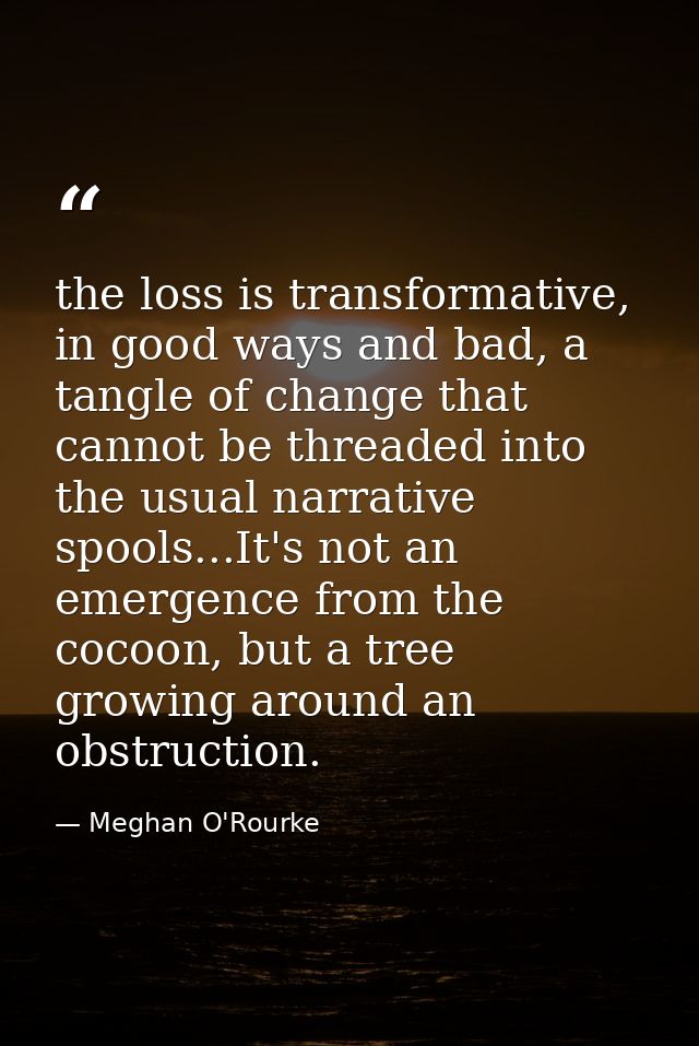the loss is transformative, in good ways and bad, a tangle of change that cannot be threaded into the usual narrative sp — Meghan O'Rourke