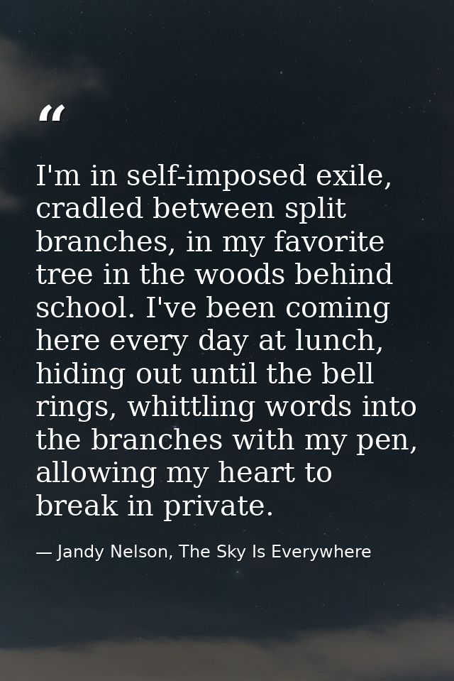 I'm in self-imposed exile, cradled between split branches, in my favorite tree in the woods behind school. I've been com — Jandy Nelson, The Sky Is Everywhere
