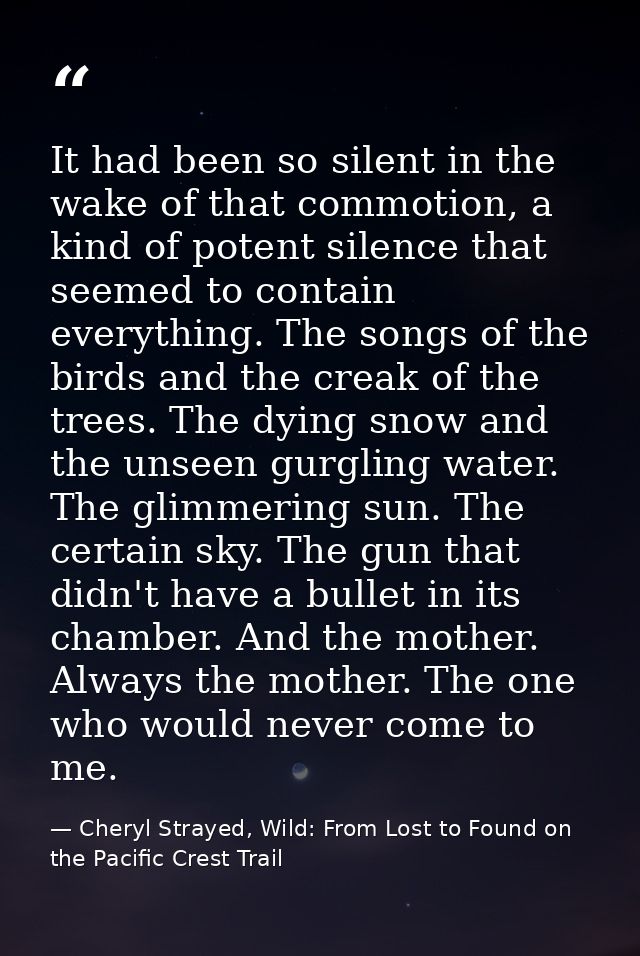 It had been so silent in the wake of that commotion, a kind of potent silence that seemed to contain everything. The son — Cheryl Strayed, Wild: From Lost to Found on the Pacific Crest Trail