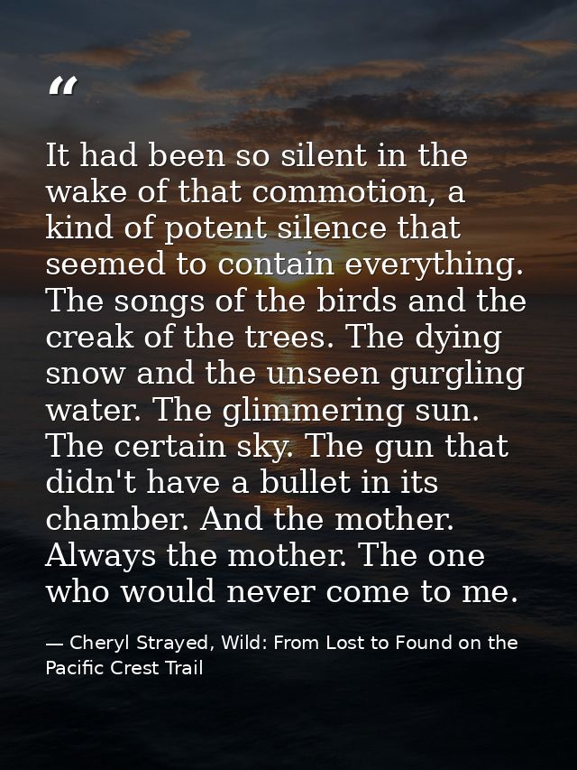 It had been so silent in the wake of that commotion, a kind of potent silence that seemed to contain everything. The son — Cheryl Strayed, Wild: From Lost to Found on the Pacific Crest Trail