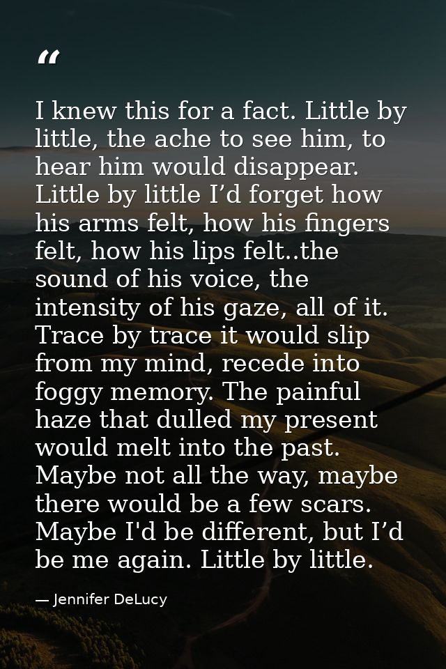 I knew this for a fact. Little by little, the ache to see him, to hear him would disappear. Little by little I’d forget  — Jennifer DeLucy