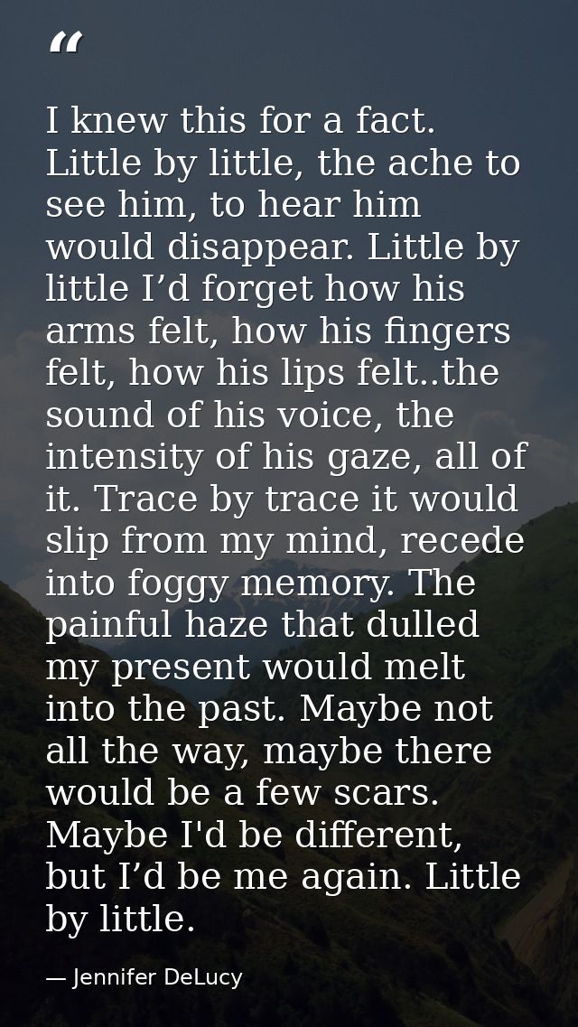 I knew this for a fact. Little by little, the ache to see him, to hear him would disappear. Little by little I’d forget  — Jennifer DeLucy