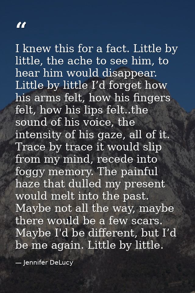 I knew this for a fact. Little by little, the ache to see him, to hear him would disappear. Little by little I’d forget  — Jennifer DeLucy